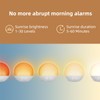 Sunrise Alarm Clock White Noise Machine: Natural Wake Up Light