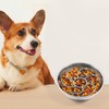 MEWMI&WANGW Slow Feeder Dog Bowls Insert Soft Silicone Slow Eating