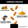Turmeric Cúrcuma Extracto Raíz Estandarizada Pimienta Negra Curcumina Curcuminoides Suplemento