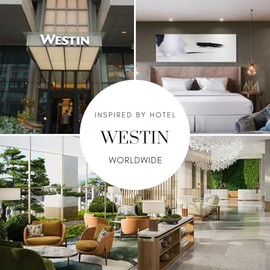 Lumara, Esencia Ambiental Aroma Hotel Westin para Difusor Profesional
