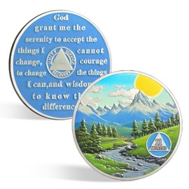 CHURYUML 11 Month Sobriety Coin Nature Landscape AA Coins Medallions Recovery Anniversary Token with Serenity Prayer on Back Eleven Month Sober Chip Sobriety Gifts for Women Men