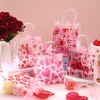 Hosuly Hosuly 50 Pcs Valentines Clear Gift Bags with Bow