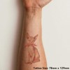 ' Sphynx Kitten with Bow' Temporary Tattoo - Water Resistant,