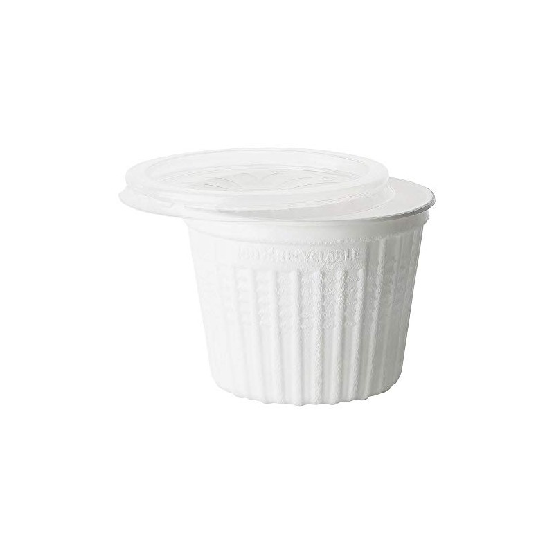 VEPATIM Soup to Go PP Thermoinsulating Soup Cups with Lid