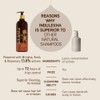 Indulekha Bringha Anti Hair Fall Shampoo (Hair Cleanser) 200ml, 6.76