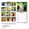 2026 Wall Calendar Labrador Retriever Planner Calendar, Hangable Monthly Wall