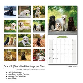 2026 Wall Calendar Labrador Retriever Planner Calendar, Hangable Monthly Wall Calendar with Large Blocks for Organizing & Planning, Academic Schedule, Home, Office & family, Thick & Sturdy Paper (12"x24" Open)