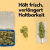 FATBOX Smoking Box - Herb Storage Box - Odourless, Shockproof,