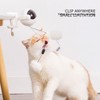 Automatic Lifting Ball Cat Toys Puzzle Fun Relieves Boredom Detachable