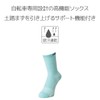 Pearl Izumi Men's Cycling Socks, Torque Socks, light sky