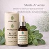 Herbolare Menta Arvensis 10 ml, Aceite Esencial 100% Puro