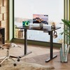 DEVAISE Electric Standing Desk Adjustable Height, 48" x 24" Whole