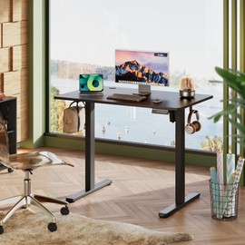 DEVAISE Electric Standing Desk Adjustable Height, 48" x 24" Whole Piece Desktop, Home Office Computer Desk, 3 Height Memory Settings, Sit Stand Up Desk for Home Office, Black