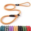 TwoEar Dog Leash Dog Slip Rope Leash 1/2" x 6FT