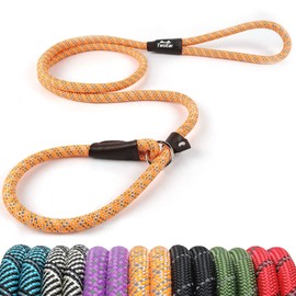 TwoEar Dog Leash Dog Slip Rope Leash 1/2" x 6FT Dog Training Leash Heavy Duty Strong Slip Lead Highly Reflective Threads for Small Medium and Large Dogs(Orange)