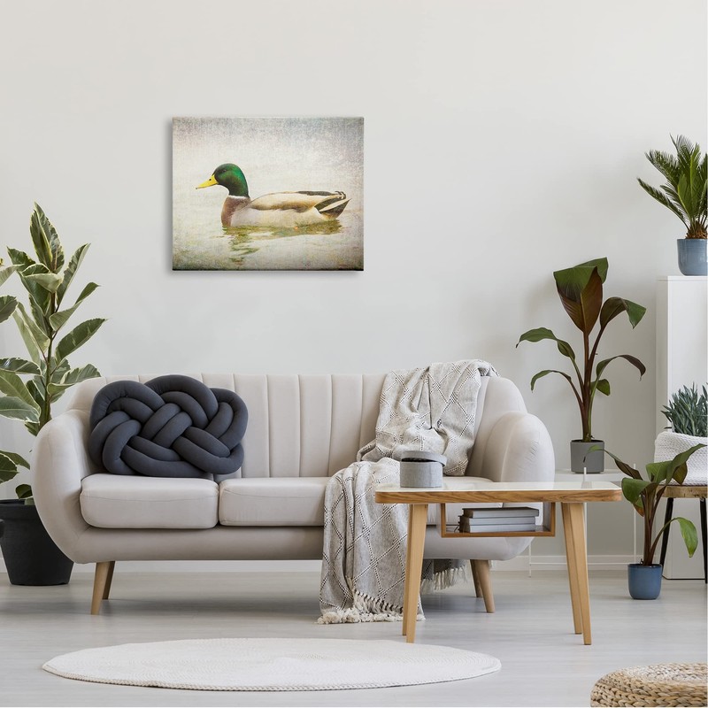 Stupell Industries Peaceful Mallard Duck Bird Swimming Water Detailed, Design