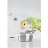 Bird Cage Seed Catcher Feeder with Perch and Anti-Slip Stand,