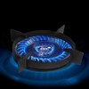 SOLUSTRE 26CM Wok Ring Cast Iron Work Rack Electric Stove
