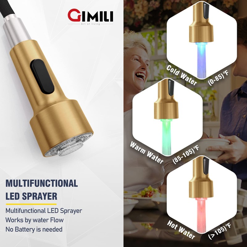 GIMILI Brushed Gold Kitchen Faucet with Pull Down Sprayer Single