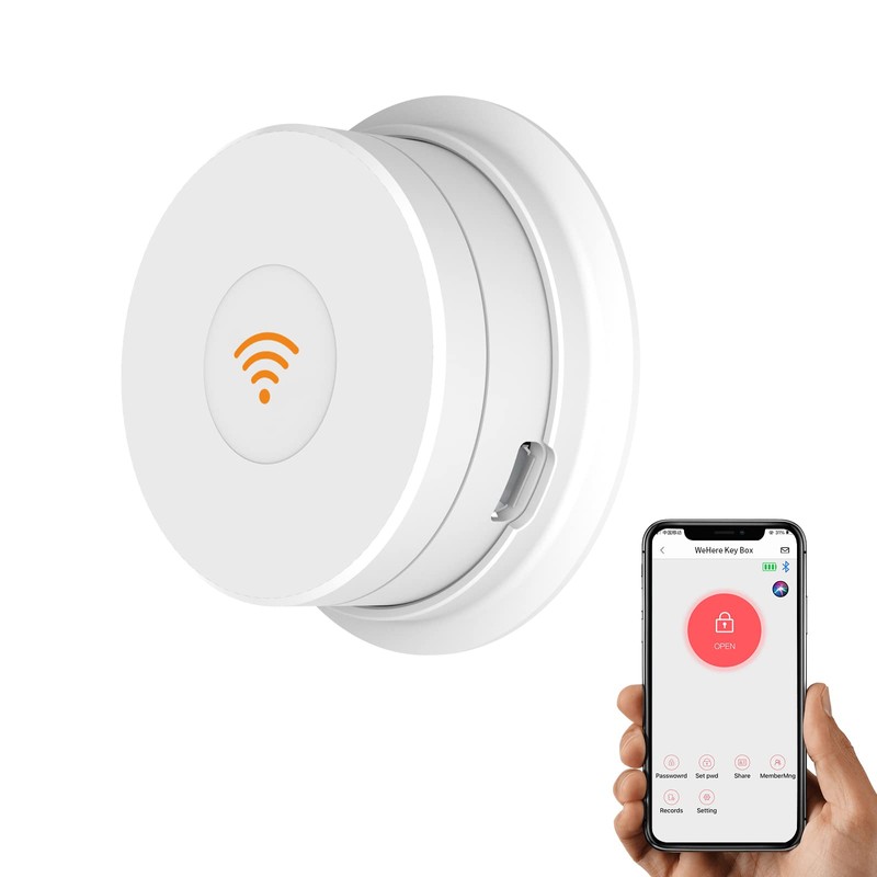 24 Key Lock Box Wall Mount with Wi-Fi Bridge