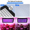 WZDRAGON Upgraded BW2000 LED Grow Lights Double Chips Full Spectrum