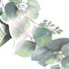 Enwye Eucalyptus Leaf Flower Border Stickers for Bulletin Boards Blackboard