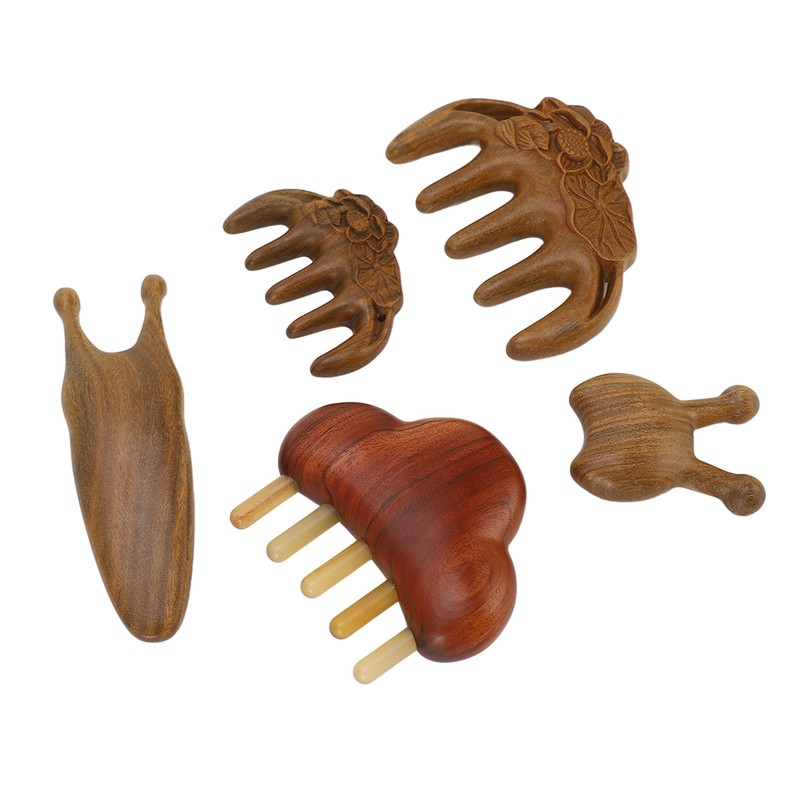 Meridian Massage Tool Kit Wood 3pcs Meridian Comb 2pcs Nose