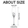 Wedding Champagne Glass Set Silver Toasting Flute Glasses Pack of