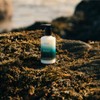 Scottish Fine Soaps Hand- & Körperlotion Sea Kelp 300ml