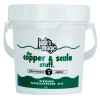 Jack's Magic JMCOPPER The Copper & Scale Swimming Pool Stain