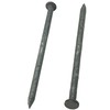 BRAUNY BOY – 3.25” -12d Hot Dipped Galvanized Common Nail