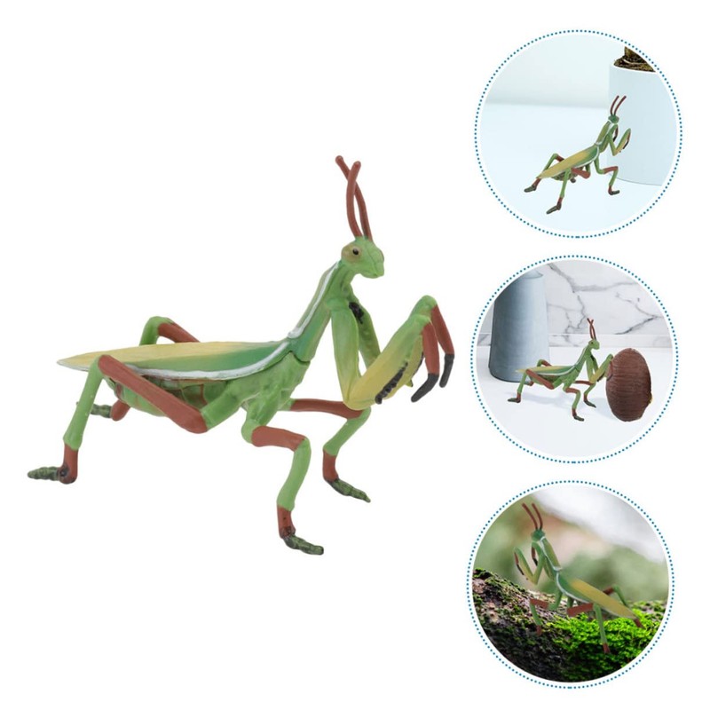 GOOHOCHY Mantis Figurine Giant Mantis Model for Boys and Girls