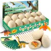 Dino Eggs Dig Kit, 12 Dinosaur Eggs & Unique Dinosaur