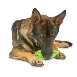 Petface Latex Pea Pod Soft Chew Dog Toy, Large
