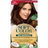 Soft Color Tinte Semi Permanente 477 Café