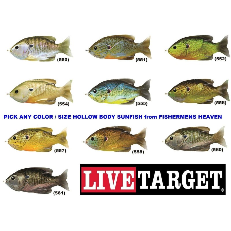 LIVE TARGET Hollow Body Sunfish, One Size, Blue / Yellow