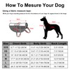PLUTUS PET Service Dog Vest with 2 Removable Patches, Light