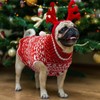 ABRRLO Dog Jumper Dress with Lead Hole for Small Medium