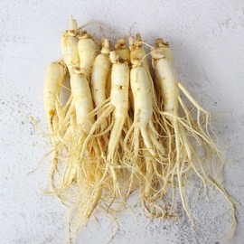 Eco-friendly Paldo Direct delivery from the producer, Geumsan Golden Farm, washed raw ginseng (small) for red ginseng, 700g / 산지직송 금산 황금농장 홍삼용 세척 원삼(소) 700g