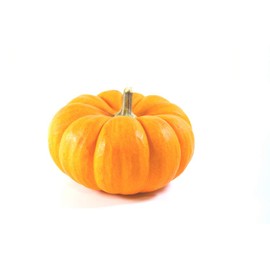 Jack Be Little Pumpkin Seeds, 10 Heirloom Seeds Per Packet, Non GMO Seeds, Isla's Garden Seeds