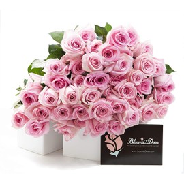 KaBloom Flowers - Mother's Day Collection - SUPER PREMIUM 100 Pink Roses - Farm Direct Wholesale Fresh Flowers.Gift for Birthday, Easter, Valentine, Mother’s Day Fresh Flowers