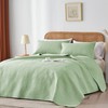 WURUIBO Full/Queen Quilt Set Light Green, Microfiber Lightweight Bedspreads, Ultrasonic
