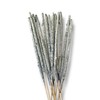 INCIENSO Almael (Pack con 20 Sticks Incienso Copal 100% Puro,