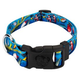 Country Brook Petz 1 Inch Adjustable Gone Fishin' Dog Collar for Small, Medium, Large Breeds - Sports and Camouflage Collection Featuring Spirited Designs (Fishing, Medium)