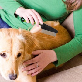 Baluue Fine Tooth Comb for Dandruff Removal Professional Grooming Tool for Adults Boys and Girls Easy to Clean Portable Hair Comb for Home Use Scalp Massage Dense Hair Care