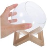 Mipcase Glass Terrarium Plant Holder Bubble Planter for Succulents and