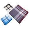 emlstyle Men's Handkerchiefs 100% Cotton Handkerchief with Check Pattern, Style