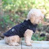 Norbi Dog Winter Jacket with Built-in Harness - Adjustable Warm