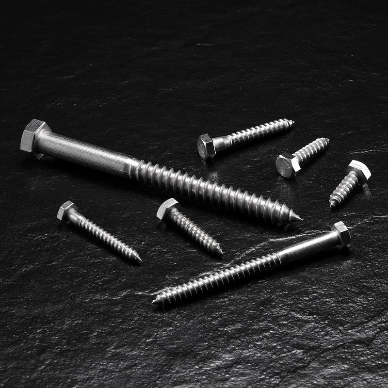 1/4" x 4" Hex Head Lag Screws Bolts 20Pcs 304