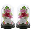 Art Four Seasons Phalaenopsis Denfare Dome Versus Design SET Pink